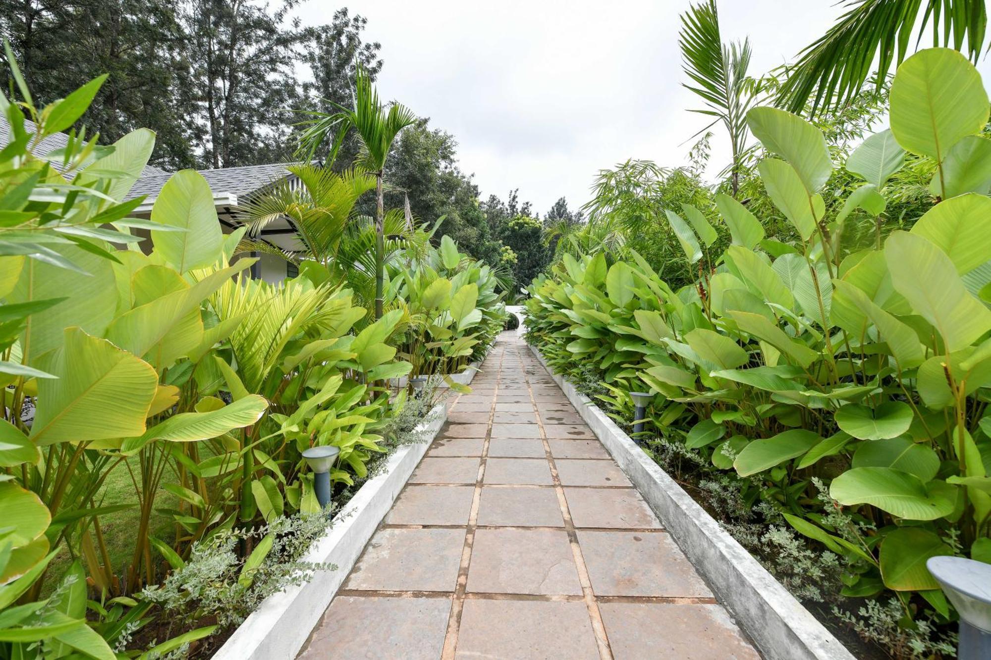 Inventree Aranya Resort & Spa Мадікері Екстер'єр фото